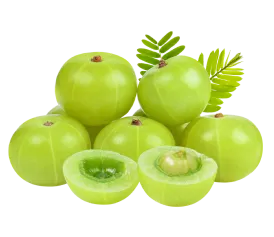 Best Ayurvedic Doctor Dubai